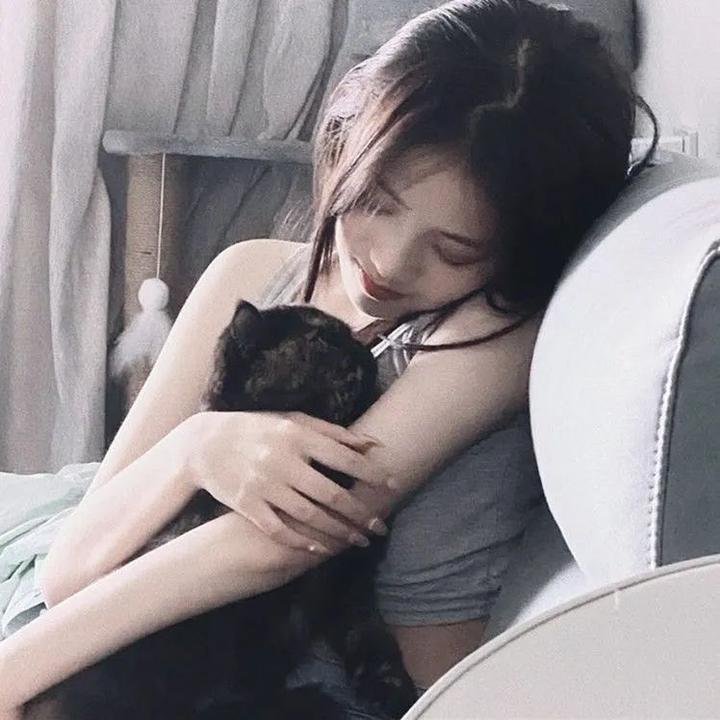 加菲猫国语